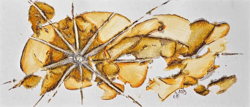 16.Der Löwe in mir.jpg