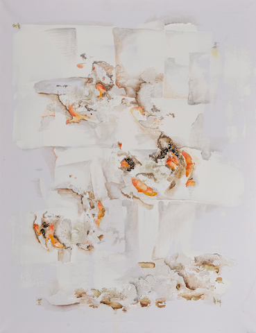 369. Deine.CF023935.jpg